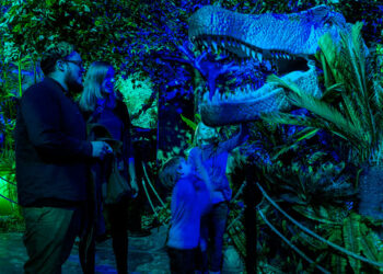 Dino Safari: A Walk-Thru Adventure Opens at Bayside MarketPlace Dec. 10