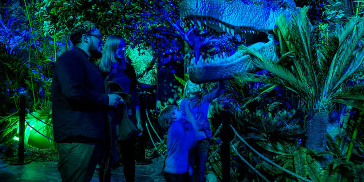 Dino Safari: A Walk-Thru Adventure Opens at Bayside MarketPlace Dec. 10